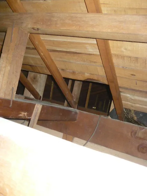 わかりますか?奥の方に潜む光る目!!