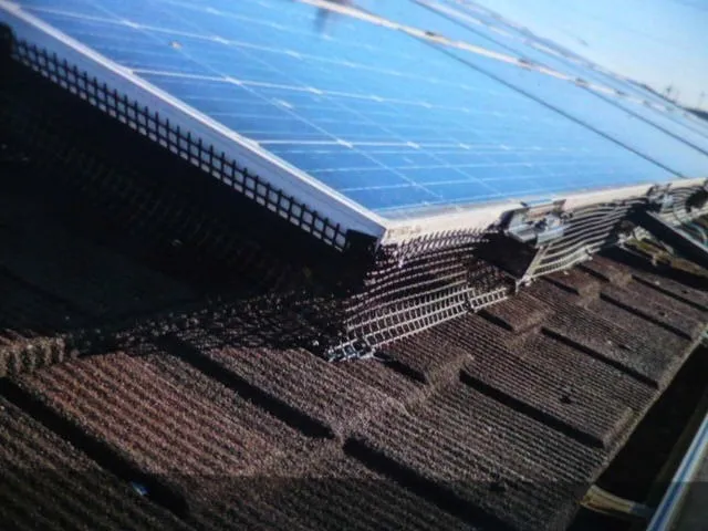 ソーラーパネルの下にハトが巣作りをしておりました。